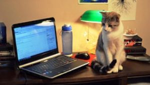Top 5 Internet Job: Lowongan Kerja Online