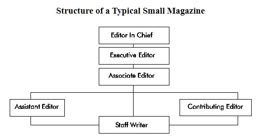 struktur organisasi media