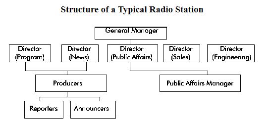 struktur organisasi media