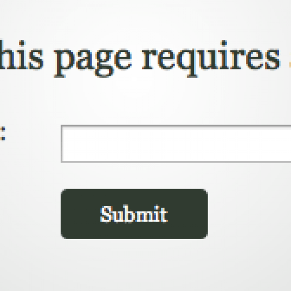 Password Halaman Blog