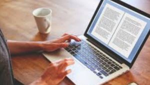cara menulis media online