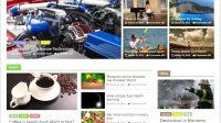 ColorMag – Tema WordPress Majalah Berita Online Terbaru