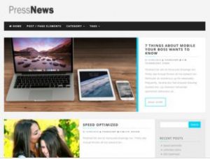 PressNews WP Theme Free