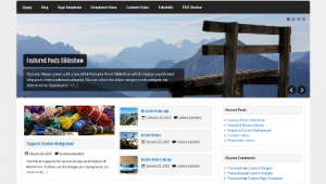 courage wp theme responsive