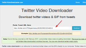 download-video-twitter1