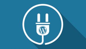 wp-plugin