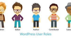 admin author editor wp