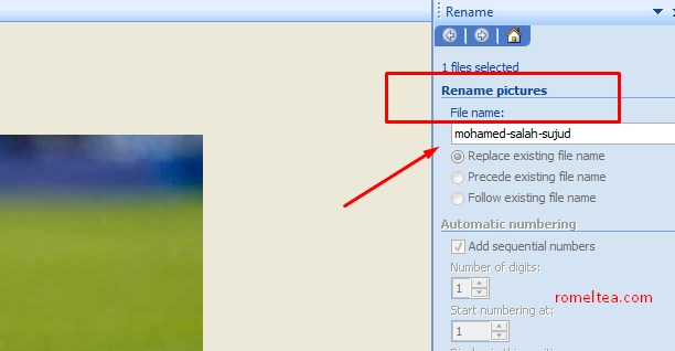 edit nama file gambar
