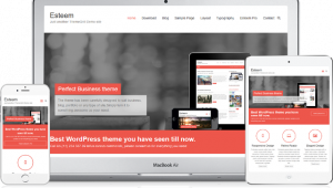 Tema WordPress Terbaik untuk Website Lembaga atau Organisasi