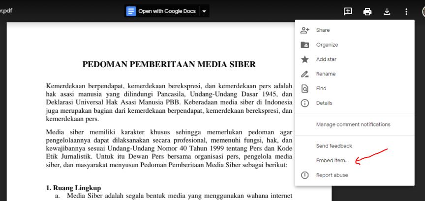 embed item