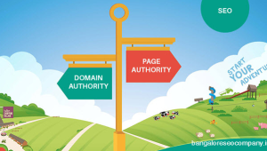 Domain Age dan Page Authority