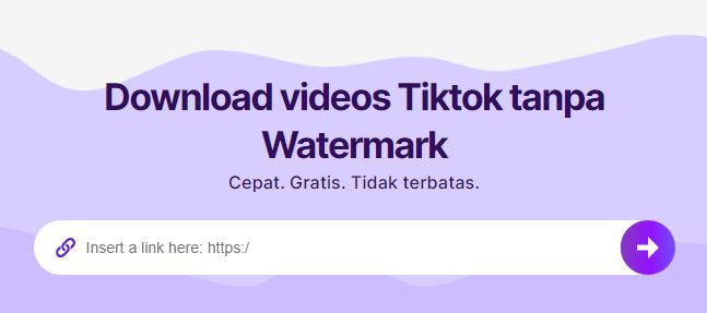 Cara Download Video TikTok Tanpa Watermark