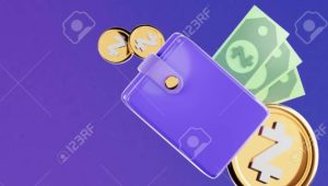 What are the various types of cryptocurrency wallets?