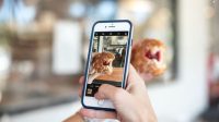 Panduan Lengkap Menyimpan Cerita Instagram: Tips dan Trik untuk Unduhan Mudah