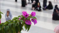 Foto Bokeh: Pengertian, Jenis-Jenis, dan Tekniknya