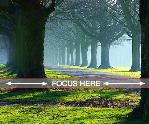 fokus foto landscap