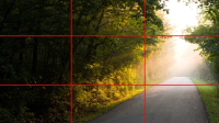 Komposisi Foto Rule of Thirds: Pengertian dan Penerapannya dalam Fotografi