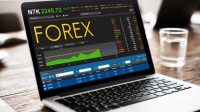 Peran Broker Forex dalam Trading Online
