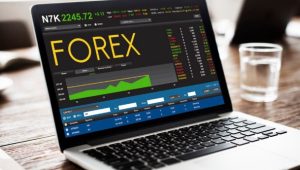 Peran Broker Forex dalam Trading Online
