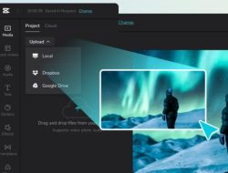 Kreativitas Digital Tanpa Batas: Menggabungkan Video dan Identitas Visual di Era Online