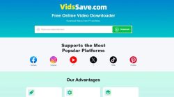 Best Video Downloaders of 2026: Top Tools Compared