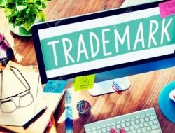 Visual Identity in Trademark Branding