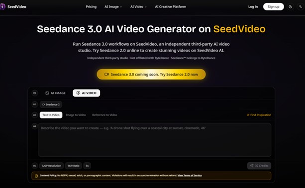 AI Video Seedance