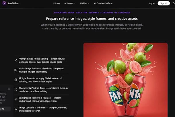 AI Video Seedance