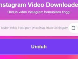 Pengunduh Video Instagram Terbaik: Perbandingan Praktis